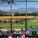 Yarra Valley Deluxe Winery Small-Group Tour from Melbourne