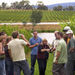 Yarra Valley Wine Experience in Melbourne, Melbourne, from Viator.com