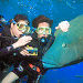 Great Barrier Reef Small Group Dive and Snorkel Tour from Cairns aboard Osprey V, Cairns, from Viator.com