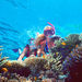 2 Day Best of Cairns and the Great Barrier Reef