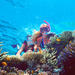 2-Day Best of Cairns and the Great Barrier Reef