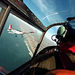 Top Dog Air Combat
