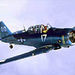 WWII Warbird Rides with Loops and Rolls
