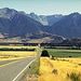 Arthur's Pass National Park with Optional TranzAlpine Train Small Group Tour
