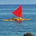 Hawaiian Outrigger Canoe and Snorkel Adventure

