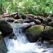 Oahu Rainforest Hiking Adventure, Oahu, from Viator.com
