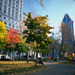 Montreal City Hop-On Hop-Off Tour
