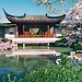 Private Tour of the Gardens of Vancouver
