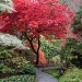 Private Tour to Victoria and Butchart Gardens from Vancouver
