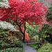 Private Tour: Victoria and Butchart Gardens
