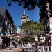 Private Vancouver City Sightseeing Tour
