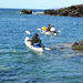 Kayak and Snorkel - Maui West Shore
