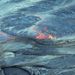 Circle of Fire and Waterfalls Helicopter Tour
