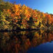 Gatineau Park Fall Foliage Tour
