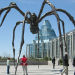Ottawa City Sightseeing Tour
