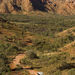 24 Hour Uluru (Ayers Rock) Eco-Pass
