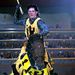Medieval Times Dinner and Tournament in Chicago
