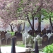 New York City Walking Tour: Historic Graveyards
