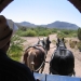 Grand Canyon Helicopter and Ranch Adventure