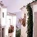 Day Tour to La Alpujarra
