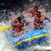 American River Rafting and San Francisco Wine Tour
