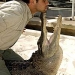 Gatorland&reg;
