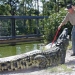 Gatorland&reg; Trainer for a Day
