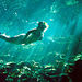 Sian Ka'an Multisports Eco Adventure
