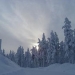 Midnight Sun at the Arctic Circle and Santa Claus Safari
