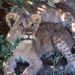 Private Four Day Safari to Samburu and Aberdares