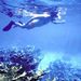 Key West Snorkeling
