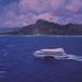 New Year's Eve Oahu Moonlight Cruise
