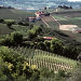 Private Full Day or Half Day Piedmontese Wine Tour of The Barolo Region
