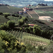 Private Tour: Piedmont Wine Tasting of the Barolo Region