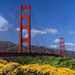 San Francisco Deluxe City Tour plus Wax Museum Tour
