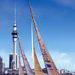 The Ultimate America's Cup Experience

