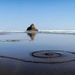 Auckland Highlights combined with Wilderness Experience Eco-Tour
