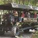 Billie Swamp Safari Park - Swamp Buggy Eco Tour
