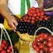 Discovering Tuscan Flavors - Lari and Volterra with Tuscan Lunch
