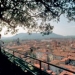 Sightseeing Tour to the Middle Age Town of Lucca
