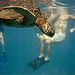 Turtle Reef Kayak Tour
