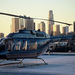 Hollywood and Los Angeles Private Helicopter Tour, Los Angeles, from Viator.com