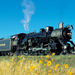 Grand Canyon Railroad Excursion

