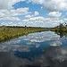 Noosa Everglades BBQ Lunch Cruise