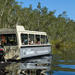 Noosa River and Everglades Afternoon Tea Cruise