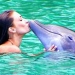 Dolphin Encounter Program in Ocho Rios
