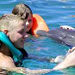 Swim with Dolphins Program in Ocho Rios
