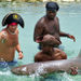 The Swim, Hold and Feed the Sharks Program

