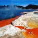 Rotorua Eco Thermal Morning Tour
