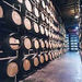 Snoqualmie Falls and Seattle Winery Tour

